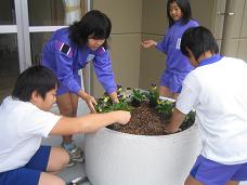 ����ع��ֿ��� ��5.JPG