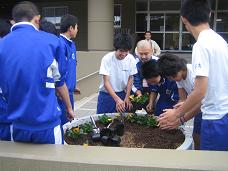 ����ع��ֿ��� ��6.JPG