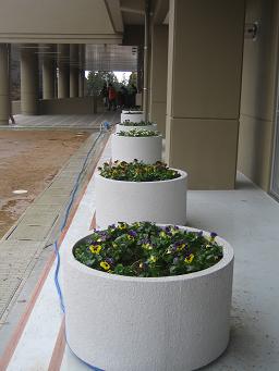 ����ع��ֿ��� ��7.JPG