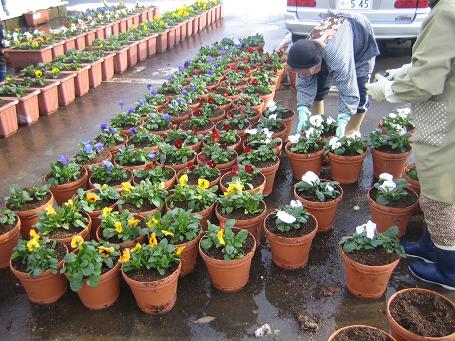 12.5���ֿ߲�������ϫ�� 1��.JPG