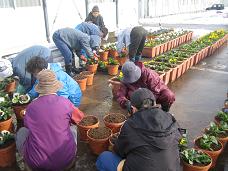 12.5���ֿ߲�������ϫ�� 3��.JPG