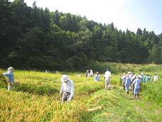 ���Żֱ����İ𴢤� ��012.JPG