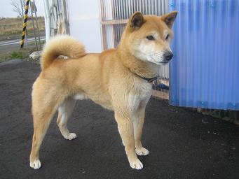 ���� 002��.JPG