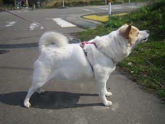 ���� 004��.JPG