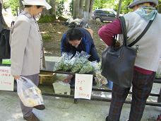 ���� 010�̣�.JPG