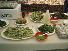 ���� 015�̣�.JPG