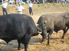 5.4���ͤ� 016��.JPG