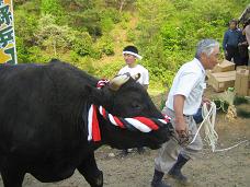 5.4���ͤ� 013��.JPG