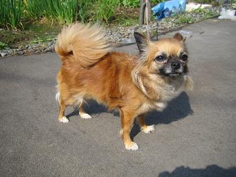 ���Ⱦ��� 001��.JPG