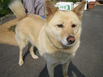 ���Ⱦ��� 007��.JPG