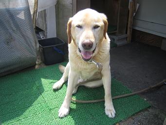 ��� 006��.JPG