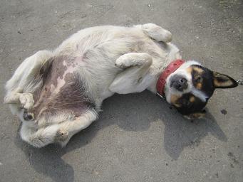 �٥� 004��.JPG