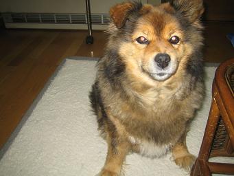 ���֡��ᥤ������ 002��.JPG