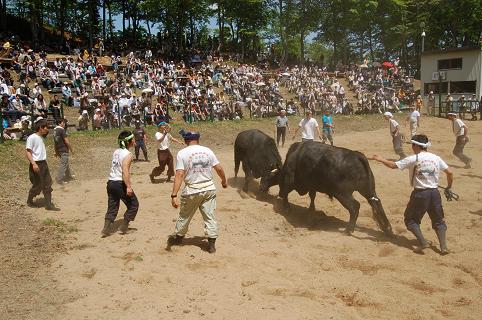 魚沼号・文平　08.05.04