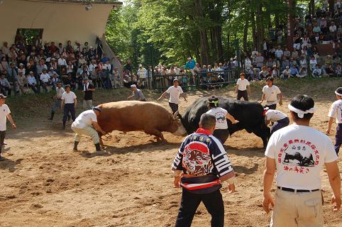龍皇・庄八　08.05.04