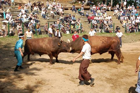 孫兵工・新屋　08.05.04