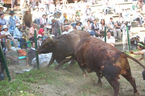 鷹嵐・金重①　その１　08.05.04