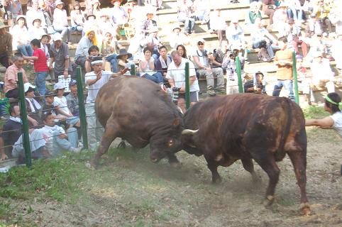 鷹嵐・金重①　その２　08.05.04