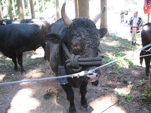 隠岐の島サミット05