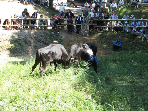 隠岐の島サミット08