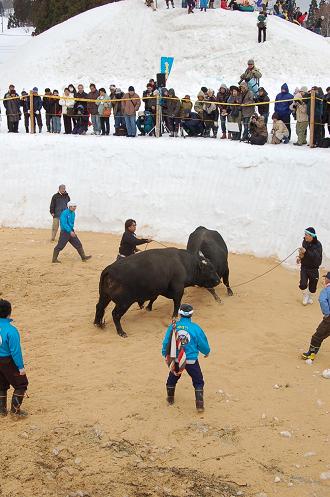 陽都大王 vs 大牙