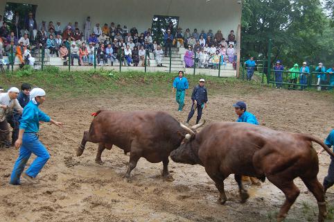 孫兵工・将史 08.05.25