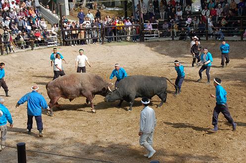 金重号②vs龍馬　その３