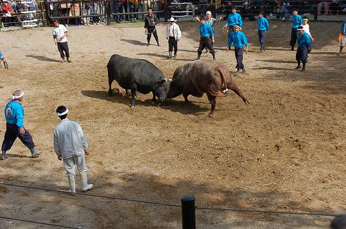 金重号②vs龍馬　その２