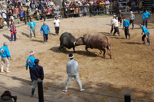 金重号②vs龍馬　その１
