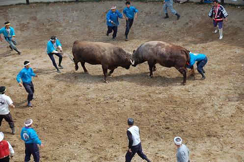 充号vs柿乃花マシンガン