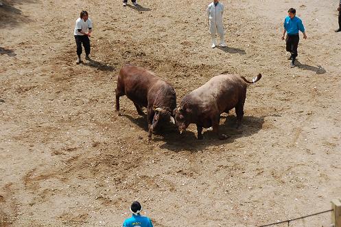 源右工門vs権平