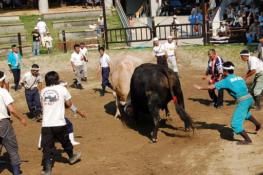 角蔵号 vs 輝白富士 ⑧