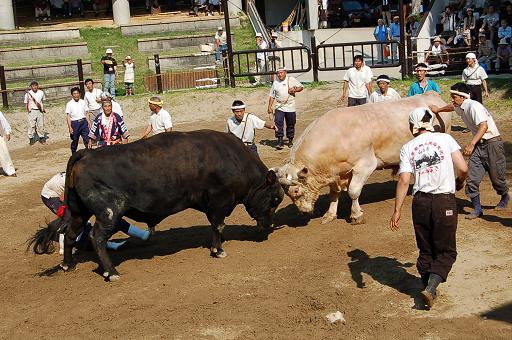 角蔵号 vs 輝白富士 ⑦