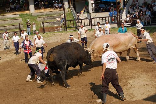 角蔵号 vs 輝白富士 ⑥