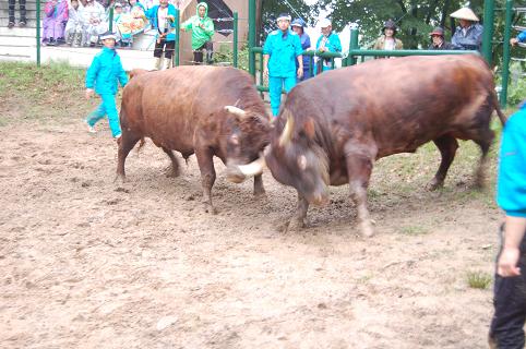 金重号・勝蔵② 08.05.25