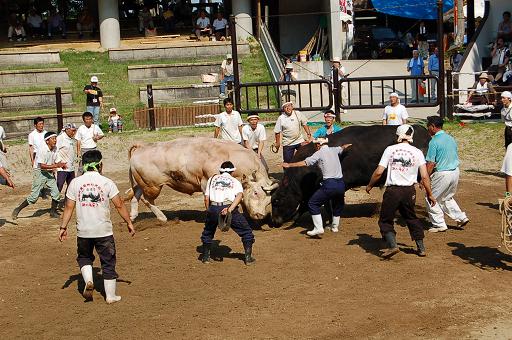 角蔵号 vs 輝白富士 ②
