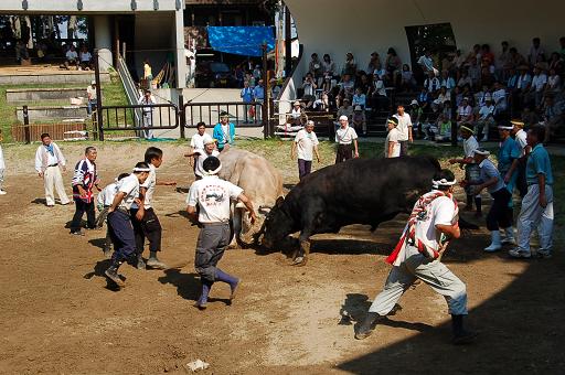 角蔵号 vs 輝白富士 ①