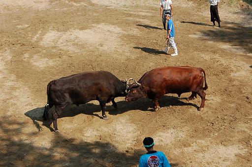 孫兵工 vs 利春号