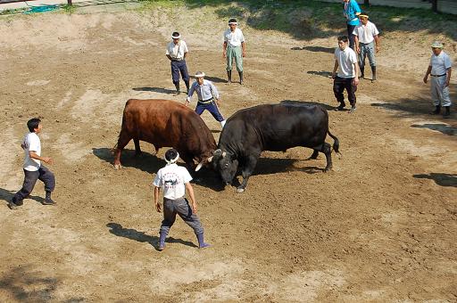 良虎② vs 三五兵工