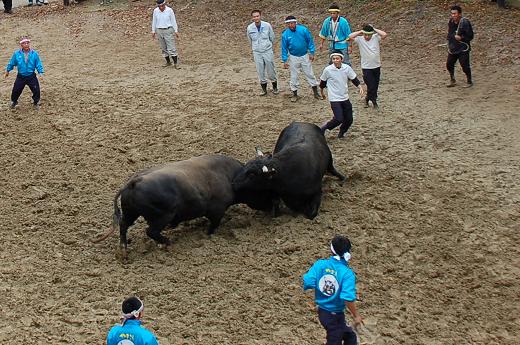 三太夫 vs 魚沼号 01