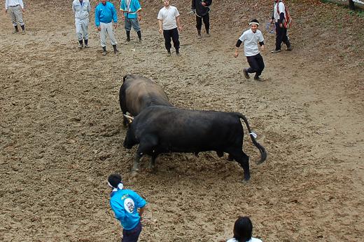 三太夫 vs 魚沼号 03
