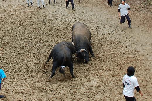 三太夫 vs 魚沼号 04