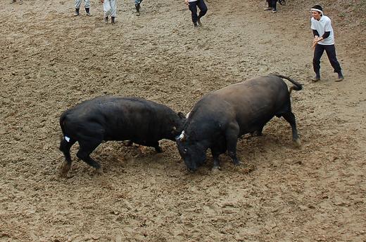 三太夫 vs 魚沼号 05