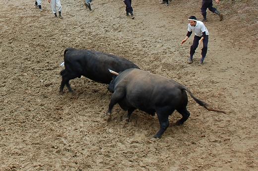 三太夫 vs 魚沼号 06