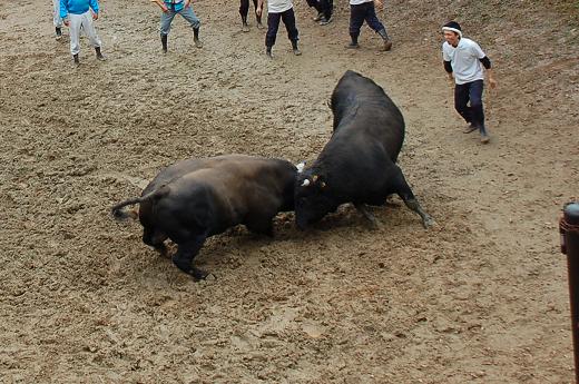 三太夫 vs 魚沼号 07