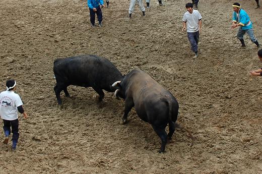 三太夫 vs 魚沼号 13