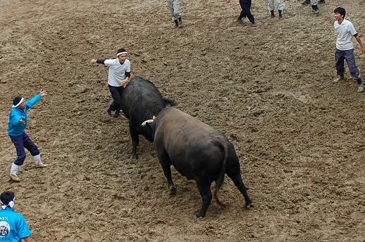三太夫 vs 魚沼号 15