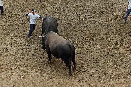 三太夫 vs 魚沼号 16