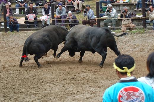 六蔵 vs 支援ありがとう号