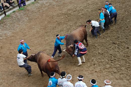 優武王 vs 幸虎 02